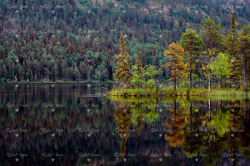 Reflection. Autumn in Lapland