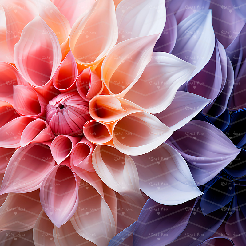 Colorful flower