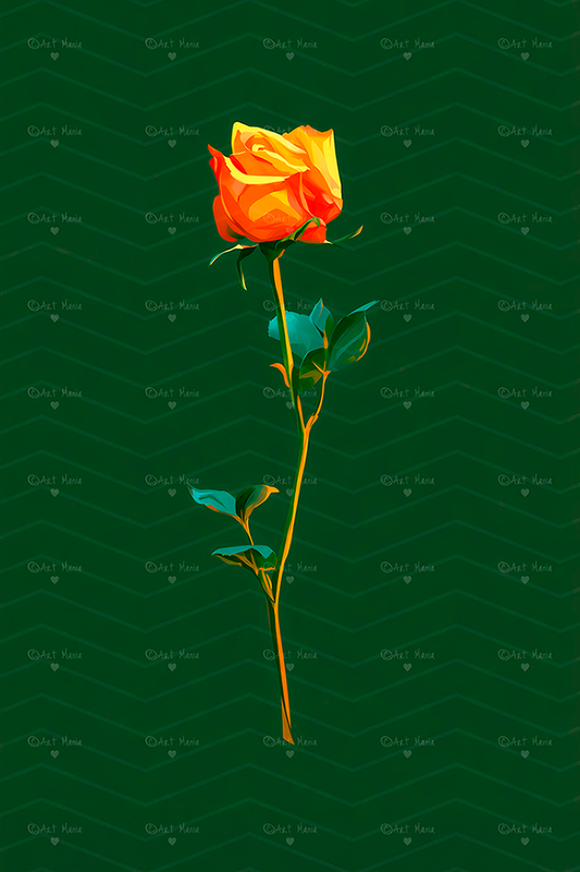 Orange rose
