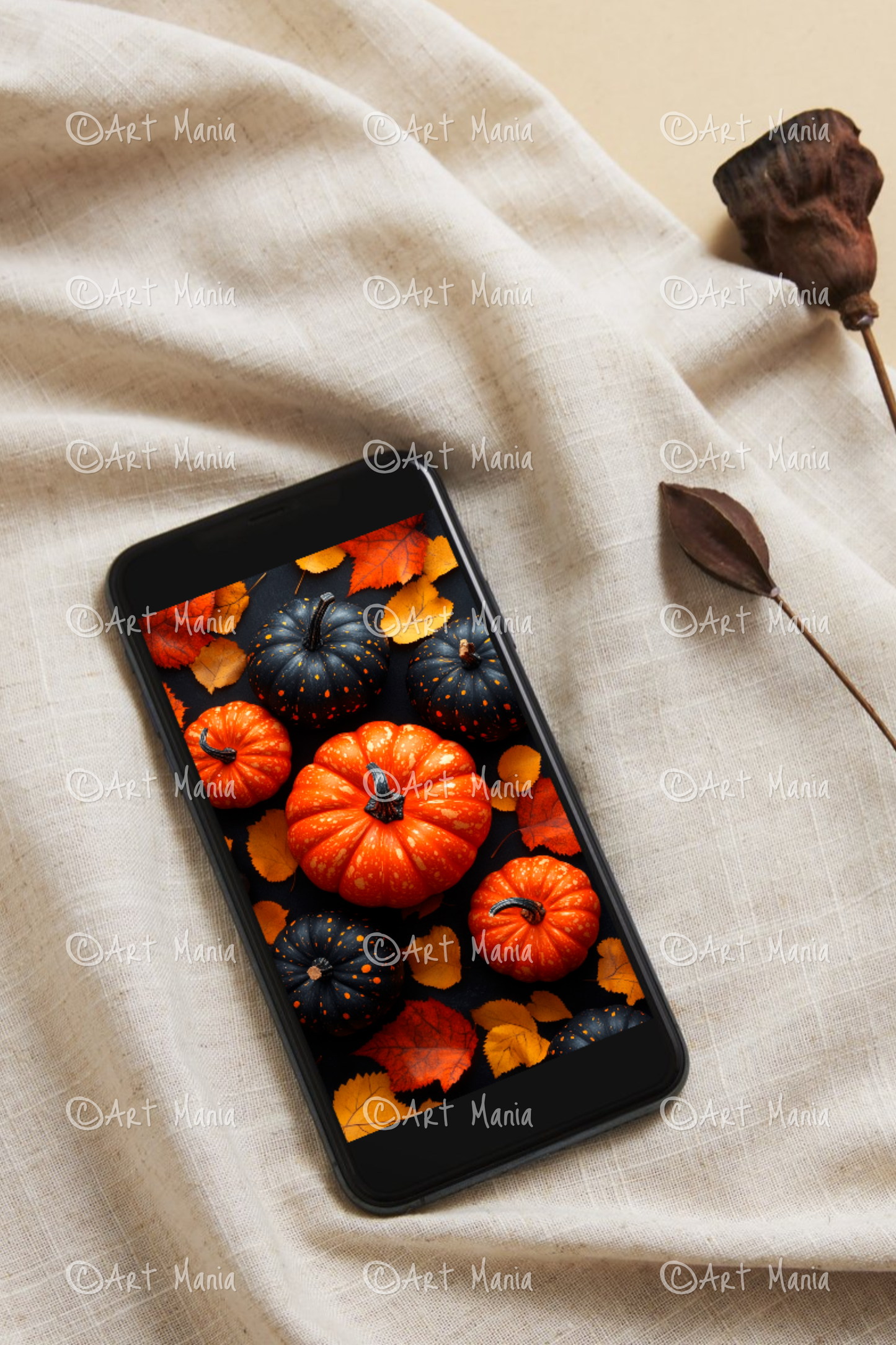 Colorful pumpkins. Mobile wallpaper