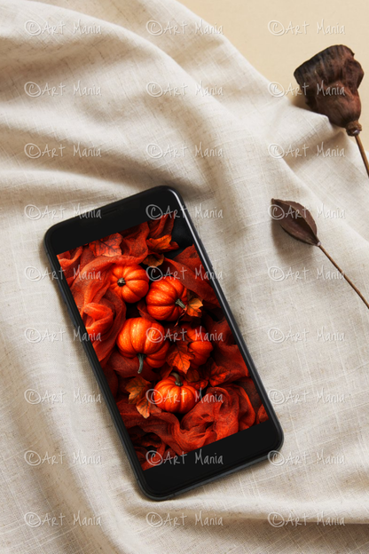 Pumpkins. Mobile wallpaper